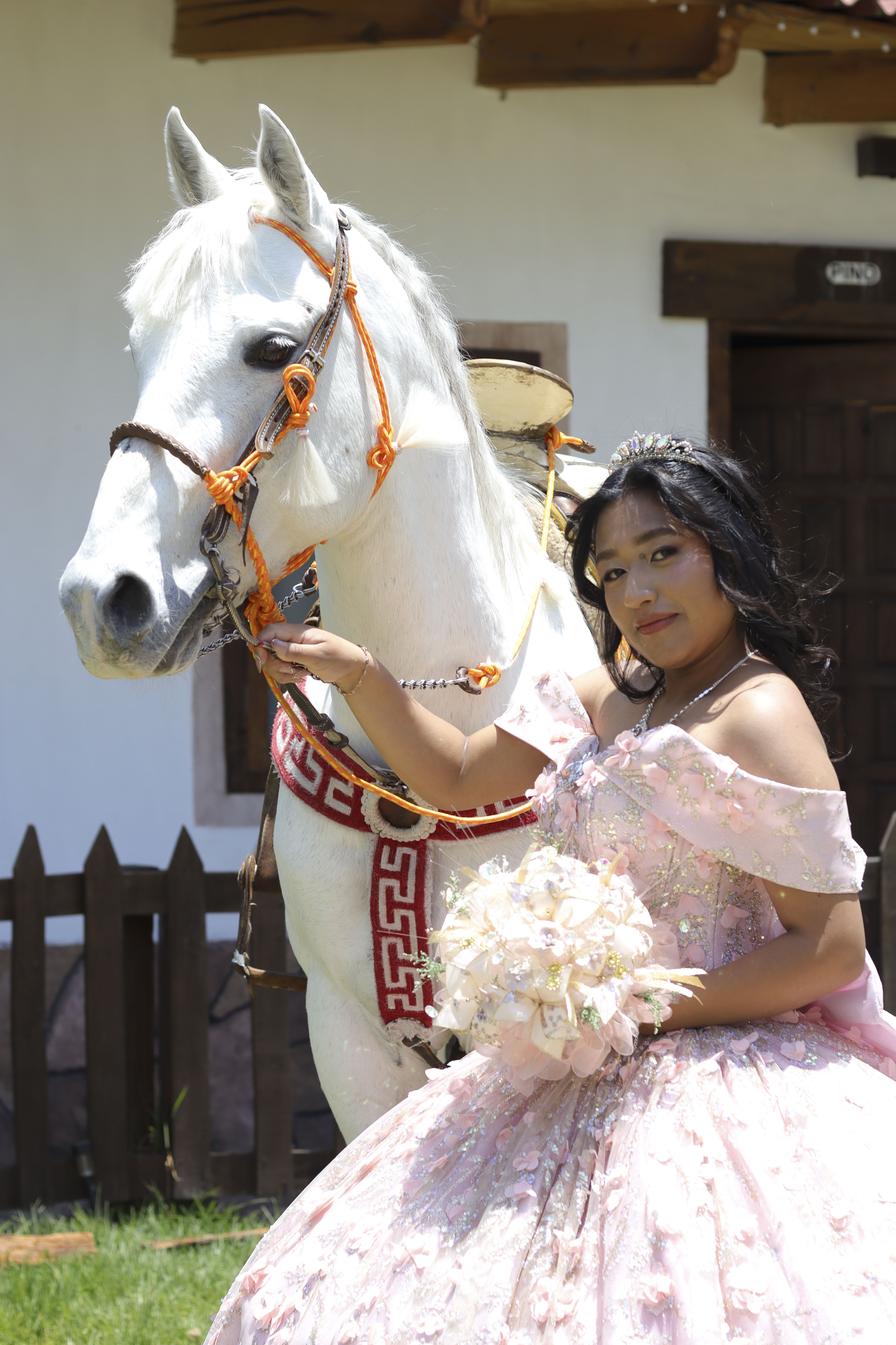 Sesión exterior con caballo